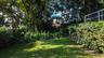 Lush backyard