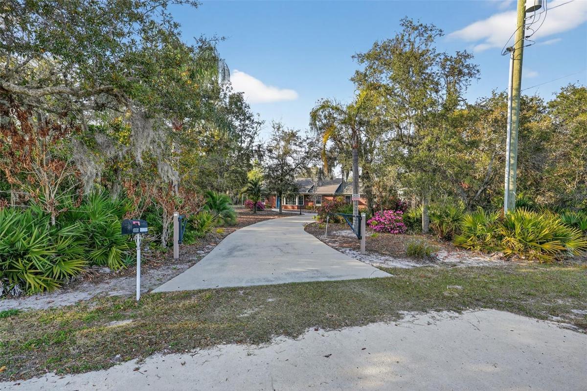 Driveway/Street View