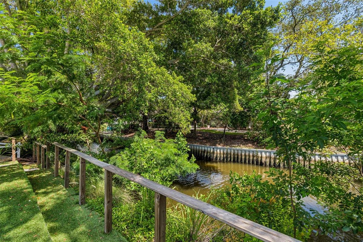 McKay Creek - backyard