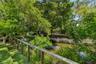 McKay Creek - backyard