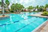 Resort-like pools