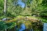 Pond