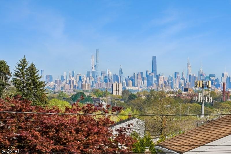 Skyline NYC view