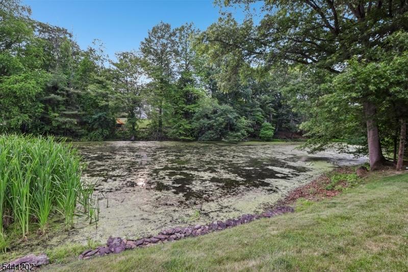 Pond