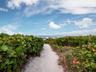 Private access for the gulf beaches is just minutes away....and bikes are available for use by Cedars East members!