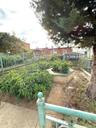 View of community garden