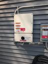 solar plant panel