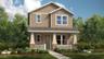 Ashwood Rendering