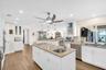 Entertainers Dream Kitchen
