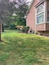 Side yard