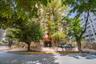 Kings Court 80
