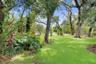 Another backyard view.