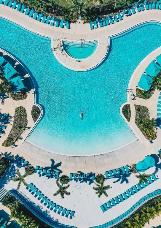 Resort style pool with lagoon design in Margaritaville Resort Orlando Kissimmee