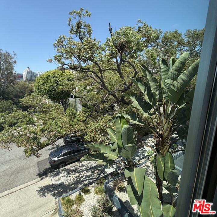 Balcony view