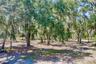 Park like setting