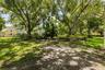 Backyard Shaded Area by Oak Trees