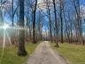 View of dirt / gravel road featuring a wooded view