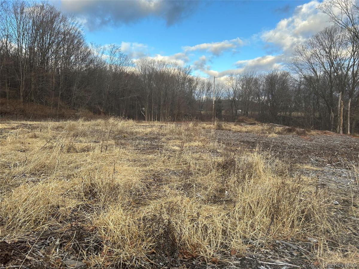 View of local wilderness