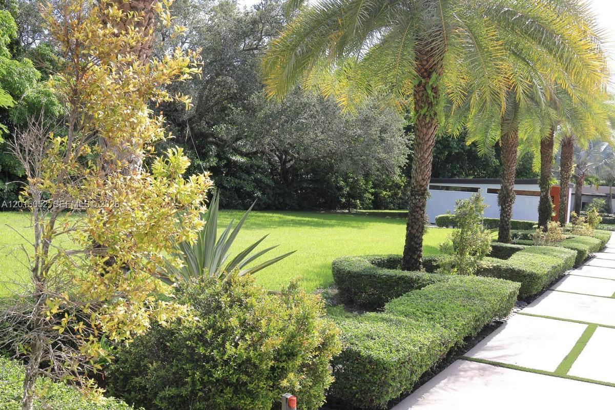 Front Yard