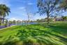 Putting Green