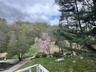 View of yard featuring a view of trees