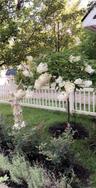 Front Yard has lots of possibilities for planting! *(Statue not included)*