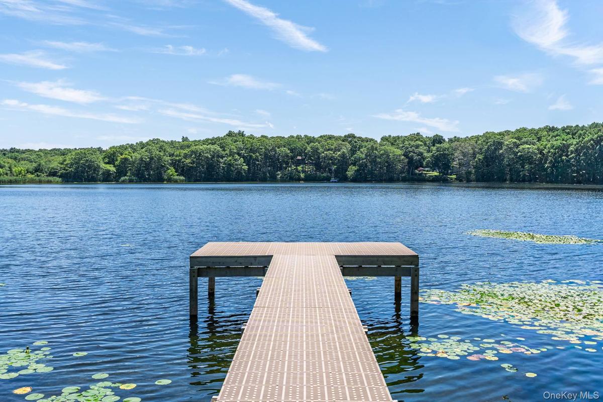 THE LAKE HOUSE