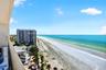 Every Day Paradise