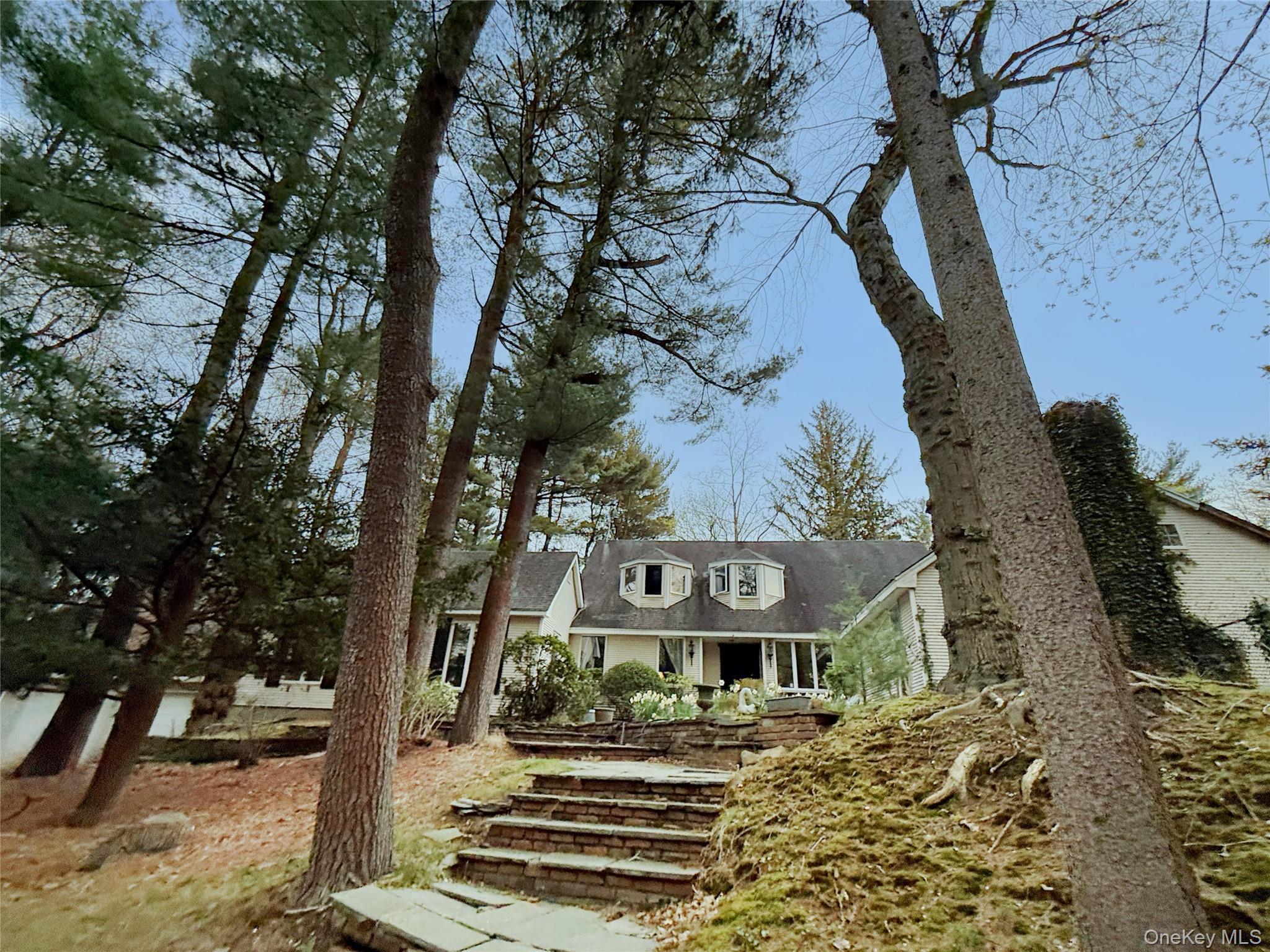 front view