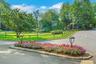 The grounds of Downingwood are exceptionally beautiful and well-maintained.