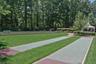 Shuffleboard