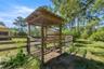Chicken Coop