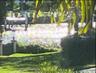 River view from Kitchen
