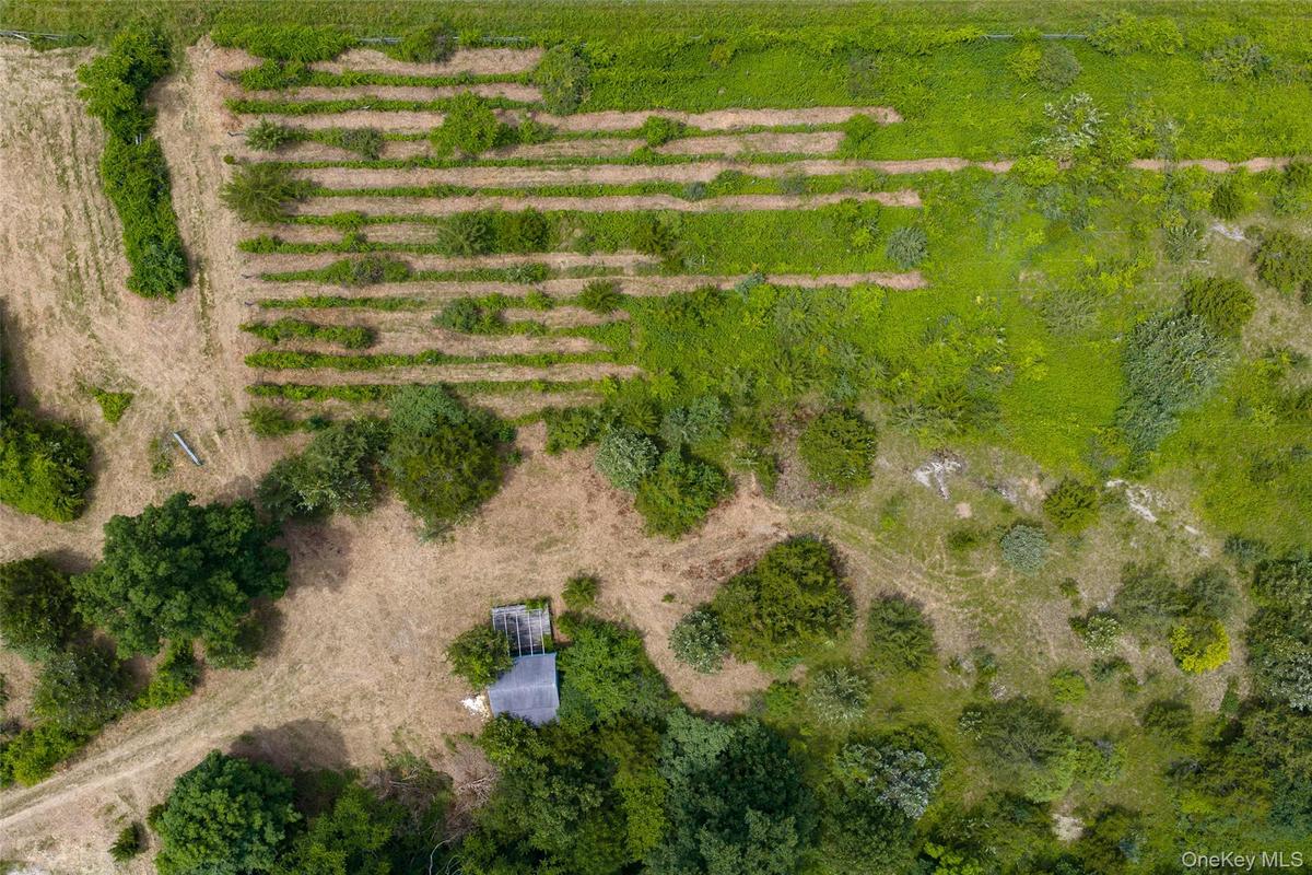 Previous vineyard area and vineyard utility shed