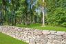 View of grassy yard featuring view of scattered trees