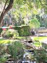Lovely Creek for Peaceful afternoons