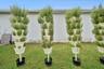 Hyrdoponic tower growing