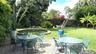 Lily pond