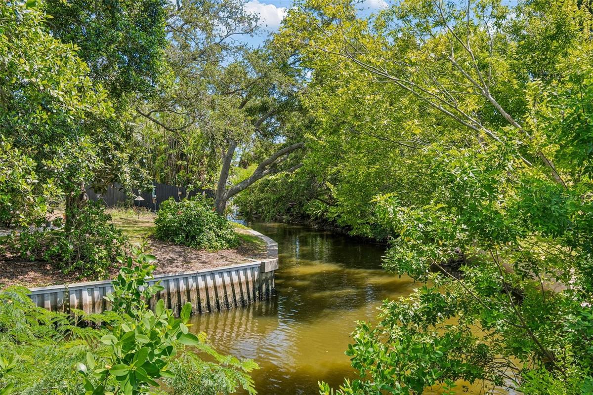 McKay Creek - backyard