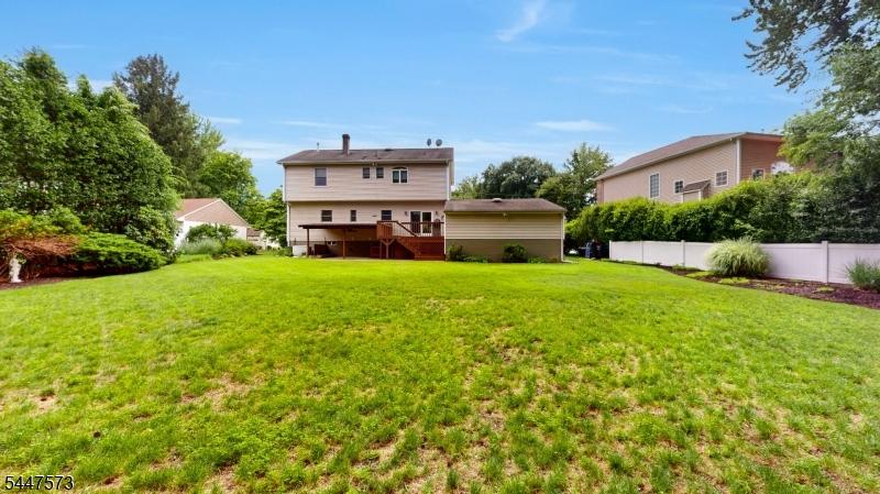 oversized lot/backyard