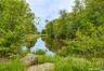 Pond