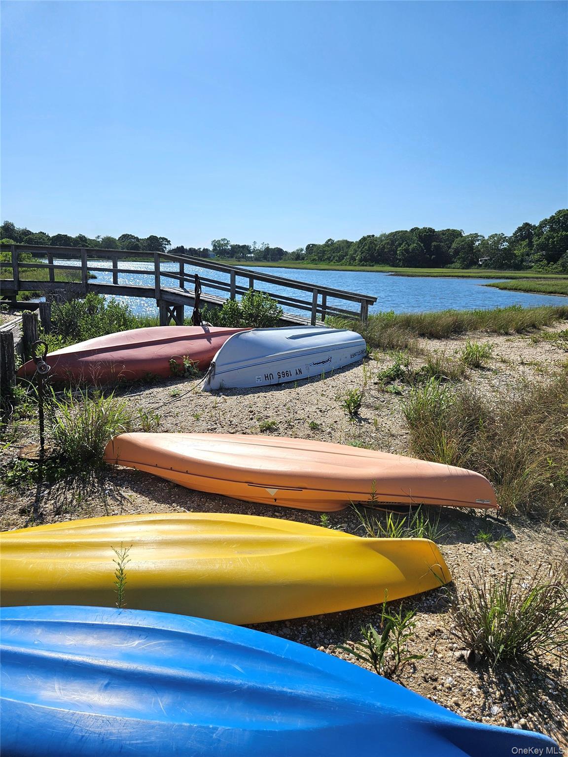 Resident Kayaks
