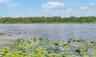 Beautiful views of Ski lake Spier