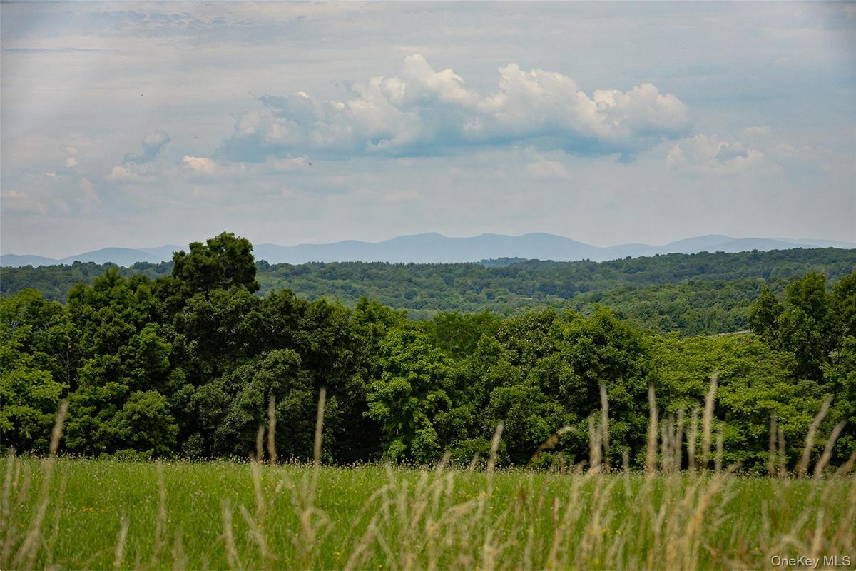 Looking toward the mountains, photo taken from ground level at the potential house site
