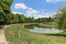 Pond