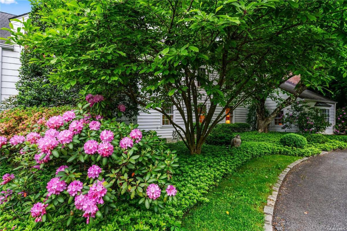 Flowering Shrubs at Entrance