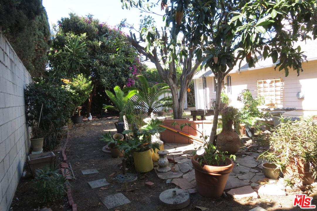 Rear yard