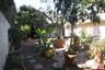 Rear yard
