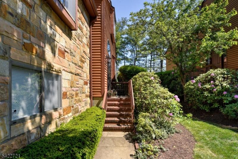 Entry stairs