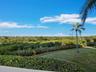 View Over Mangroves